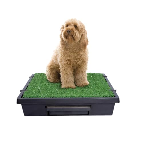 PetSafe PetSafe Pet Loo Portable Dog Potty (Medium)