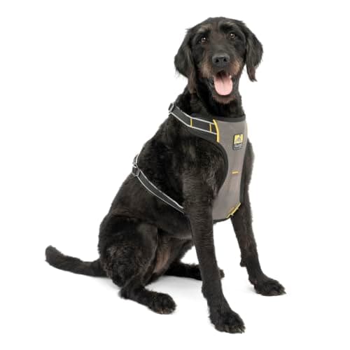 Kurgo Kurgo Impact Dog Car Harness