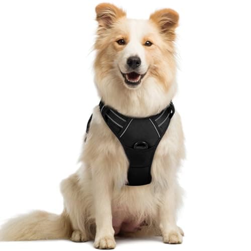 rabbitgoo rabbitgoo No-Pull Dog Harness