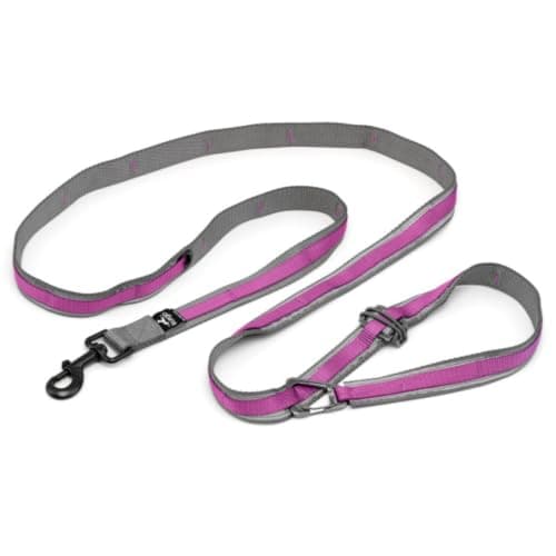 Kurgo Quantum 6-in-1 Dog Leash