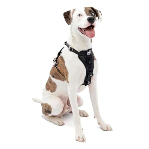 Kurgo Kurgo Tru-Fit Smart Harness