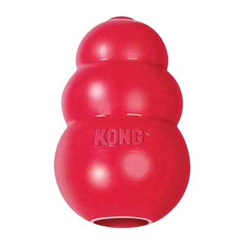 KONG KONG Classic (Large)