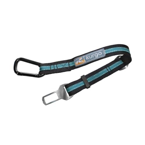 The Best Dog Seat Belt Tethers