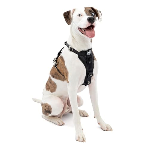 Kurgo Kurgo Tru-Fit Smart Harness