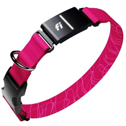 Fi Fi Series 3+ Smart GPS Dog Collar