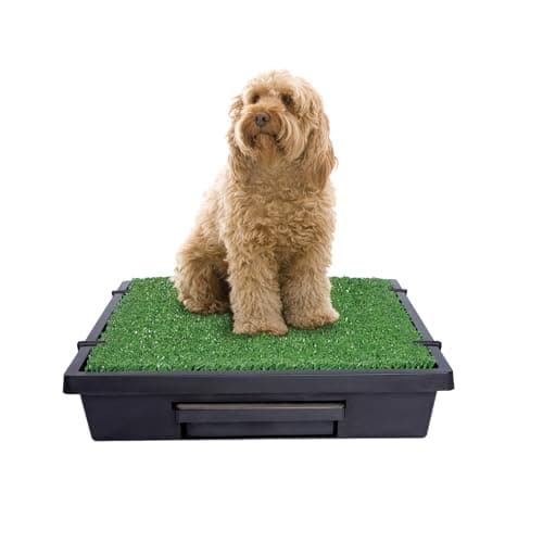 PetSafe PetSafe Pet Loo Portable Dog Potty (Medium)