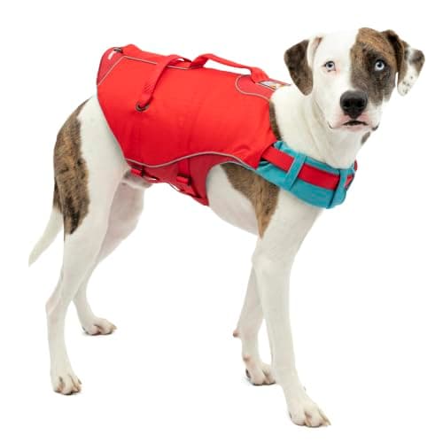 Kurgo Kurgo Surf n' Turf Dog Life Jacket