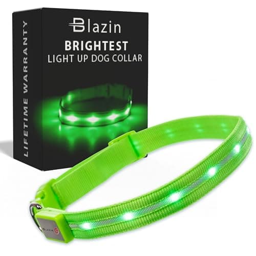 Blazin Blazin Light Up LED Dog Collar