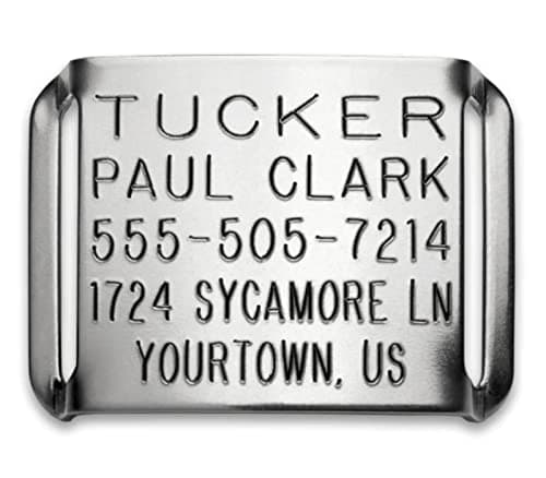 Boomerang Tags Boomerang CollarTags Sliding Dog Tag