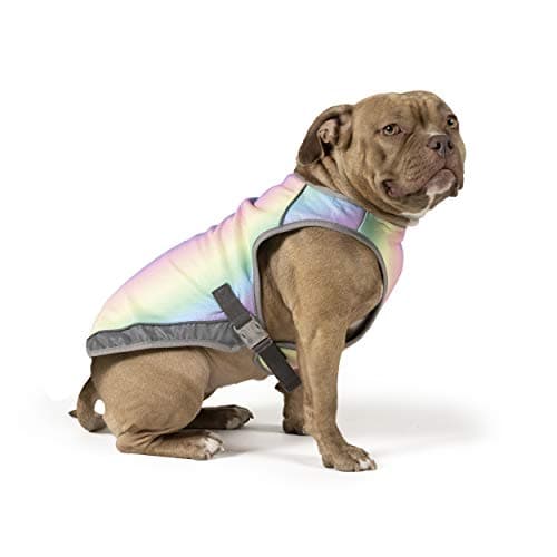 Canada Pooch Canada Pooch Chill Seeker Cooling Vest