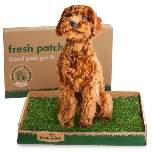 Fresh Patch Fresh Patch Real Grass Potty (Standard)