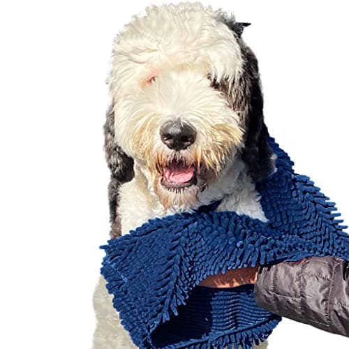 Soggy Doggy Soggy Doggy Super Shammy