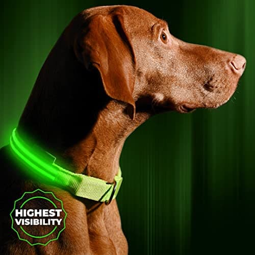 Illumiseen Illumiseen LED Dog Collar