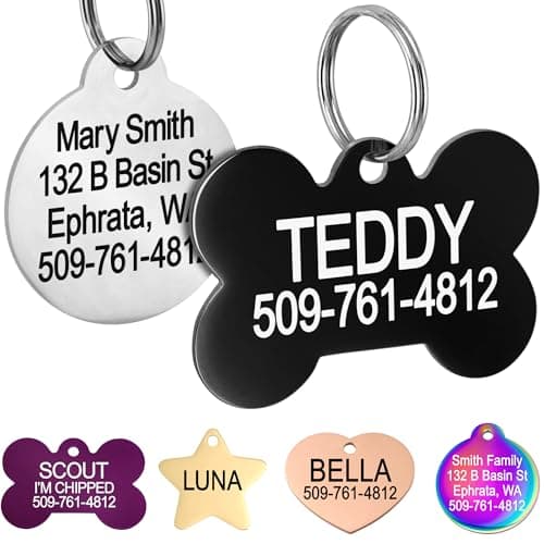 GoTags GoTags Personalized Stainless Steel Dog Tag