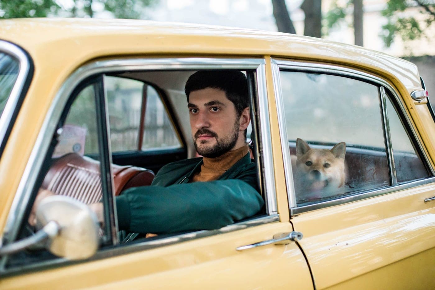 A dog riding safely in the back seat of a car