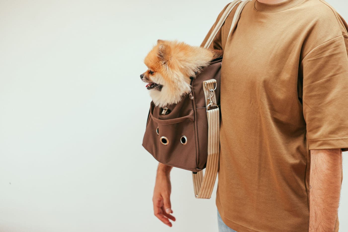 A small dog riding in a soft-sided travel carrier bag