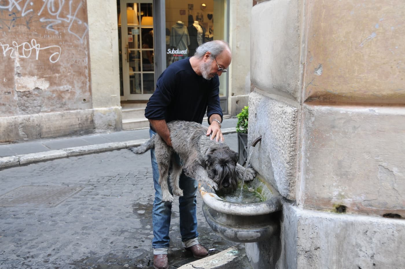 A dog drinking water from a travel bowl outdoors